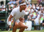 星空体育- IG带队取胜！，费德勒重要时刻战术调整气势如虹延续